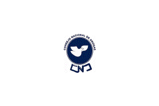 National Drug Council flag