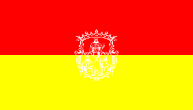 Alternate version of the flag of Morelia