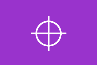Walkyrie flag
