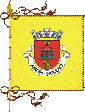 flag with cords